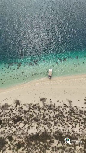 kVrpxAZdaWXzlloN.jpg