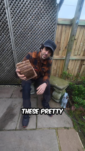 bxJgNmVT0VKrE03z.jpg