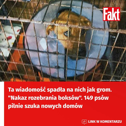 HBA ykwbQAAwnD6?format=jpg.jpg