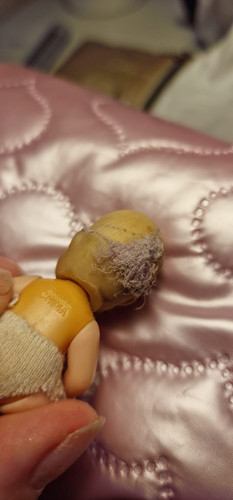 WhatsApp Image 2026 02 13 at 18.13.51 (1)