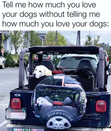 0b207953 7c9e 46e5 9055 f193e087023e.jpg