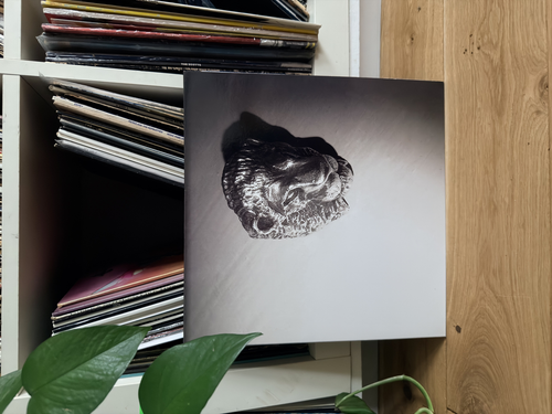 IMG 7592 Large.png