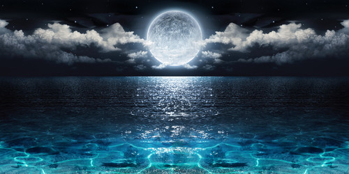IMG01 ingredients product SKU16 MoonRise 16x9 landscape.jpg