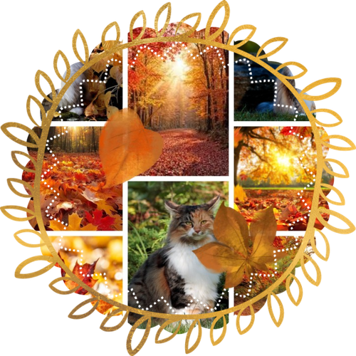 autumn.png
