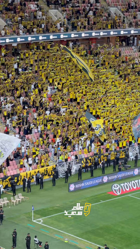 rxT3 PhPBEXBOl23.jpg