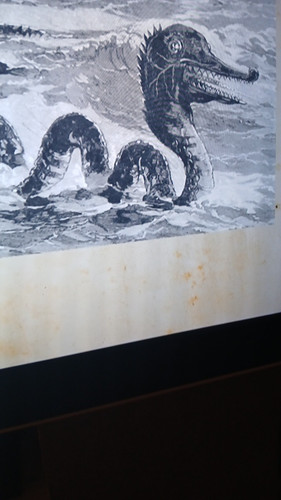 temp 1771005991142.jpg