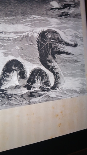 temp 1771006019269.jpg