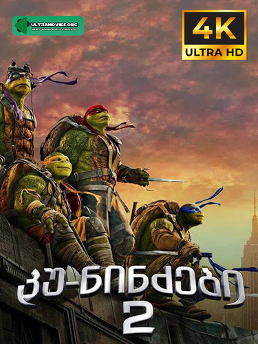 Ninja Turtles 2 cover.jpg