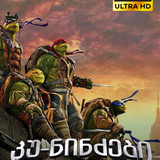 Ninja Turtles 2 cover