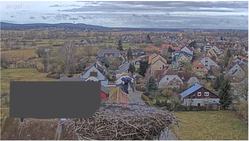 MWSnap637.jpg