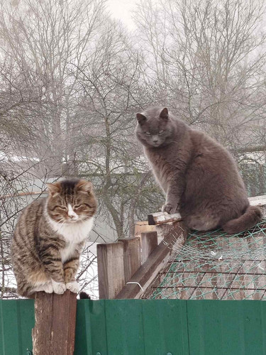 HBB USmWoAEIu7S?format=jpg.jpg