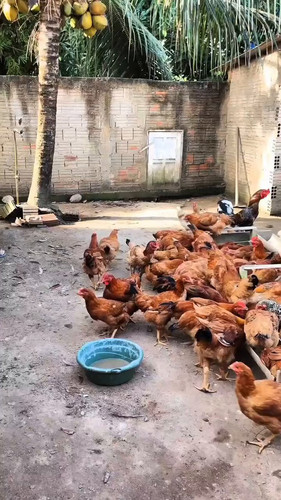 tt6 n TTlhpqZ3my.jpg