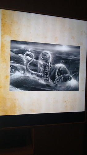 temp 1771005862102.jpg