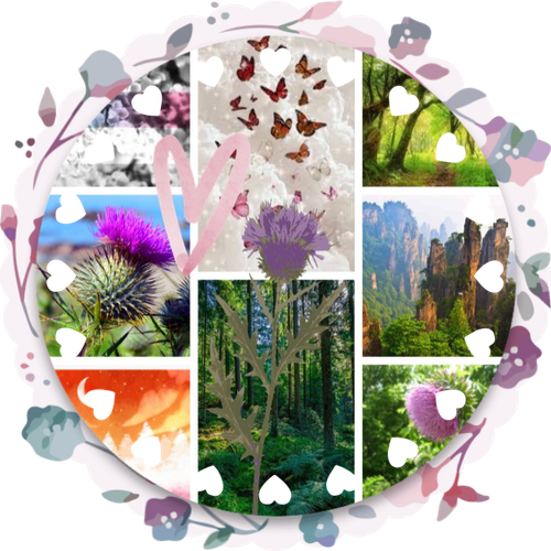 thistle.png