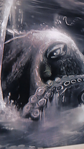 temp 1771005842011.jpg