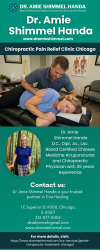 Chiropractic Pain Relief Clinic Chicago.jpg