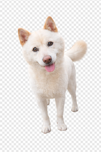 태풍이.png