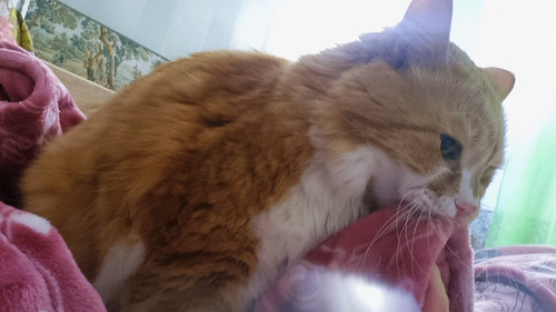 HBEf pMXwAA7eQ ?format=jpg.jpg