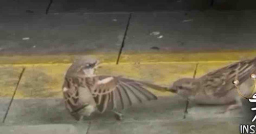 6F10D0BC 82E9 4F48 80B2 DD171CD0C176.jpg