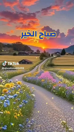 sB1DmXzTYl9S LHT.jpg