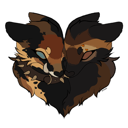 ROgNpVA.png