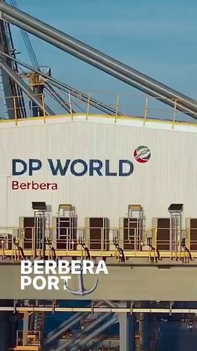 jzh1NwrAYN F3qDt.jpg