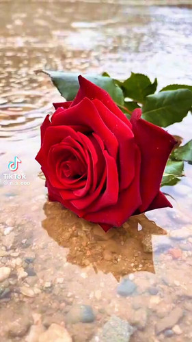 V kpsYQ1GyqOcKso.jpg