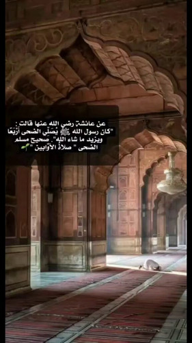 7qh DTHCMyhMLOi2.jpg