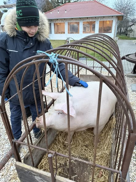 634734681 1425729656230675 3232409665343894406 n.jpg?stp=cp6 dst jpg s590x590 tt6& nc cat=104&ccb=1 .jpg