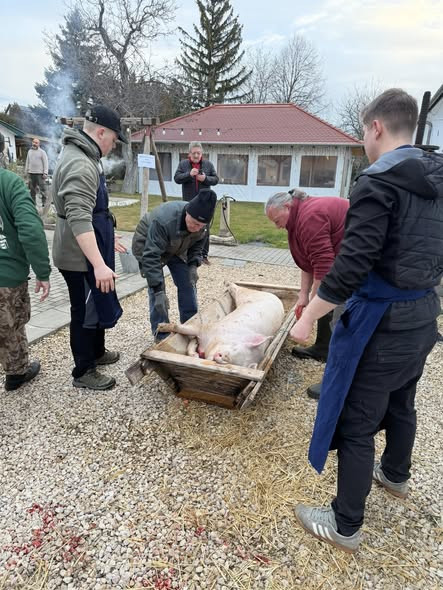 634713141 1425729672897340 5079954385533503366 n.jpg?stp=cp6 dst jpg s590x590 tt6& nc cat=110&ccb=1 .jpg