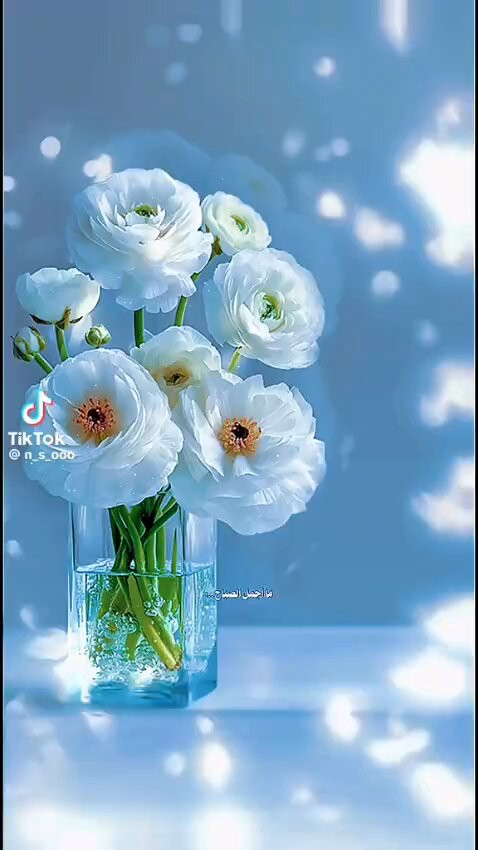 T joJSOtrnv2TNdm.jpg