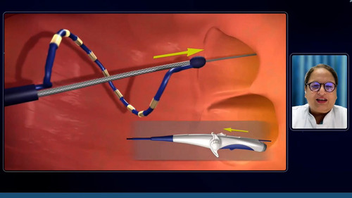 hPiSfMHmaL T 7 N.jpg