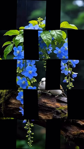 KeD 9hZuUDEt050k.jpg