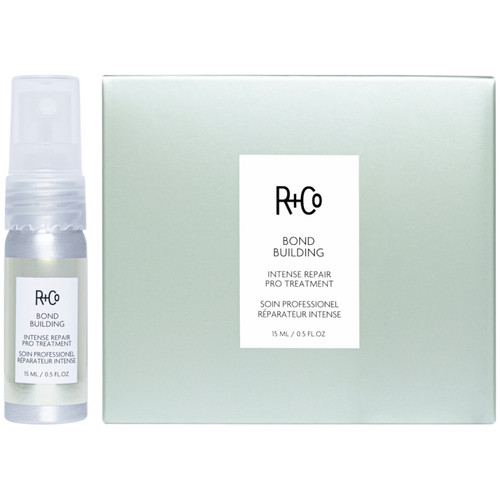 R+CO Bond Building + Intense Repair Pro Treatment 6 pack.jpg