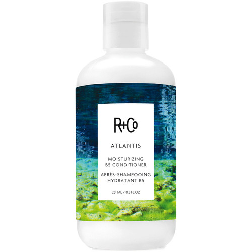 R+CO Atlantis Moisturizing B5 Conditioner 8.5 oz.jpg