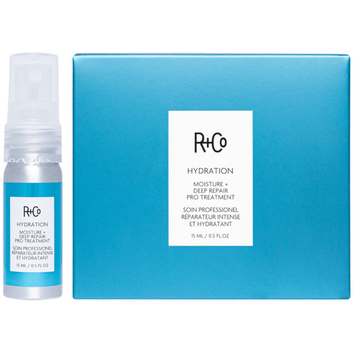 R+CO Hydration Moisture + Deep Repair Pro Treatment 6 pack.jpg