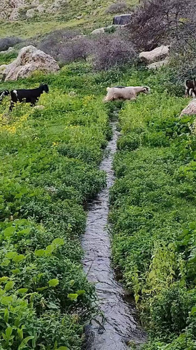 oZtRjtIdFyeLYe 1.jpg