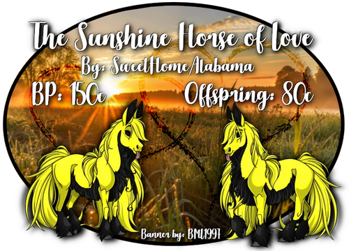 sunshine horse of love