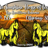 sunshine horse of love