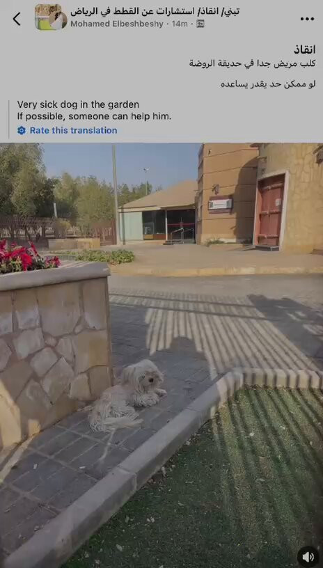 scLf52a3KsW U9t0.jpg