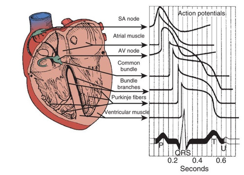 HA P FtbsAQf77e?format=jpg.jpg