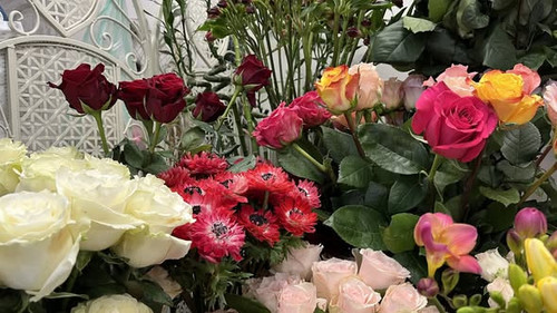 633778844 1336552765177414 1781859534511058311 n.jpg?stp=cp6 dst jpg s590x590 tt6& nc cat=104&ccb=1 .jpg