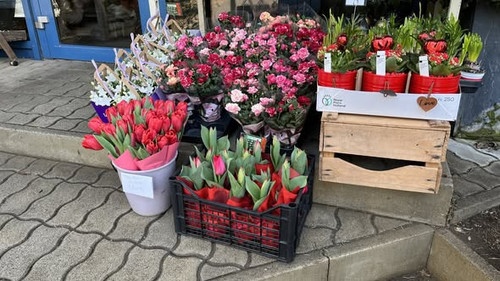 632435637 1336552855177405 5706585064185427311 n.jpg?stp=cp6 dst jpg s590x590 tt6& nc cat=101&ccb=1 .jpg