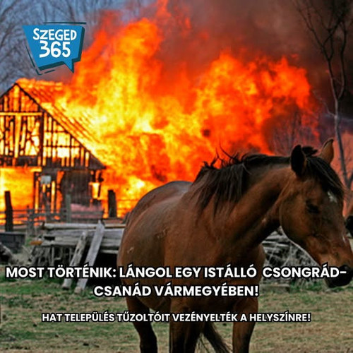 634434655 924223696640010 444685715280941136 n.jpg?stp=dst jpg p526x296 tt6& nc cat=109&ccb=1 7& nc .jpg