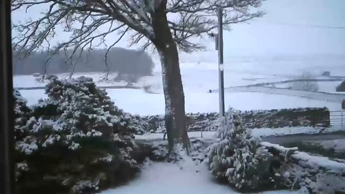 0dsfPgT9NfWjR Pp.jpg