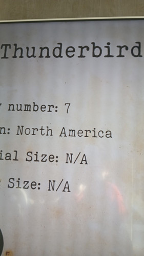temp 1771063174406.jpg