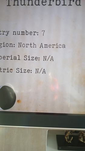 temp 1771063184855.jpg