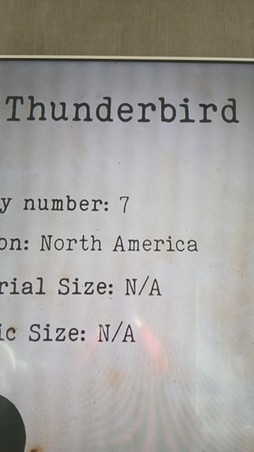 temp 1771063191077.jpg