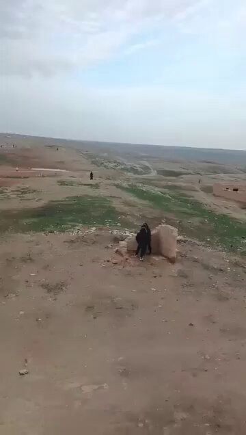 TgCXSODpvQAt5Nry.jpg