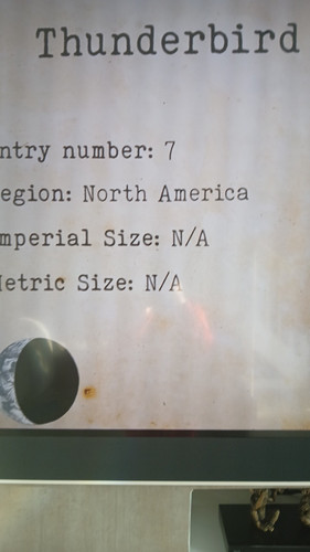 temp 1771063196764.jpg